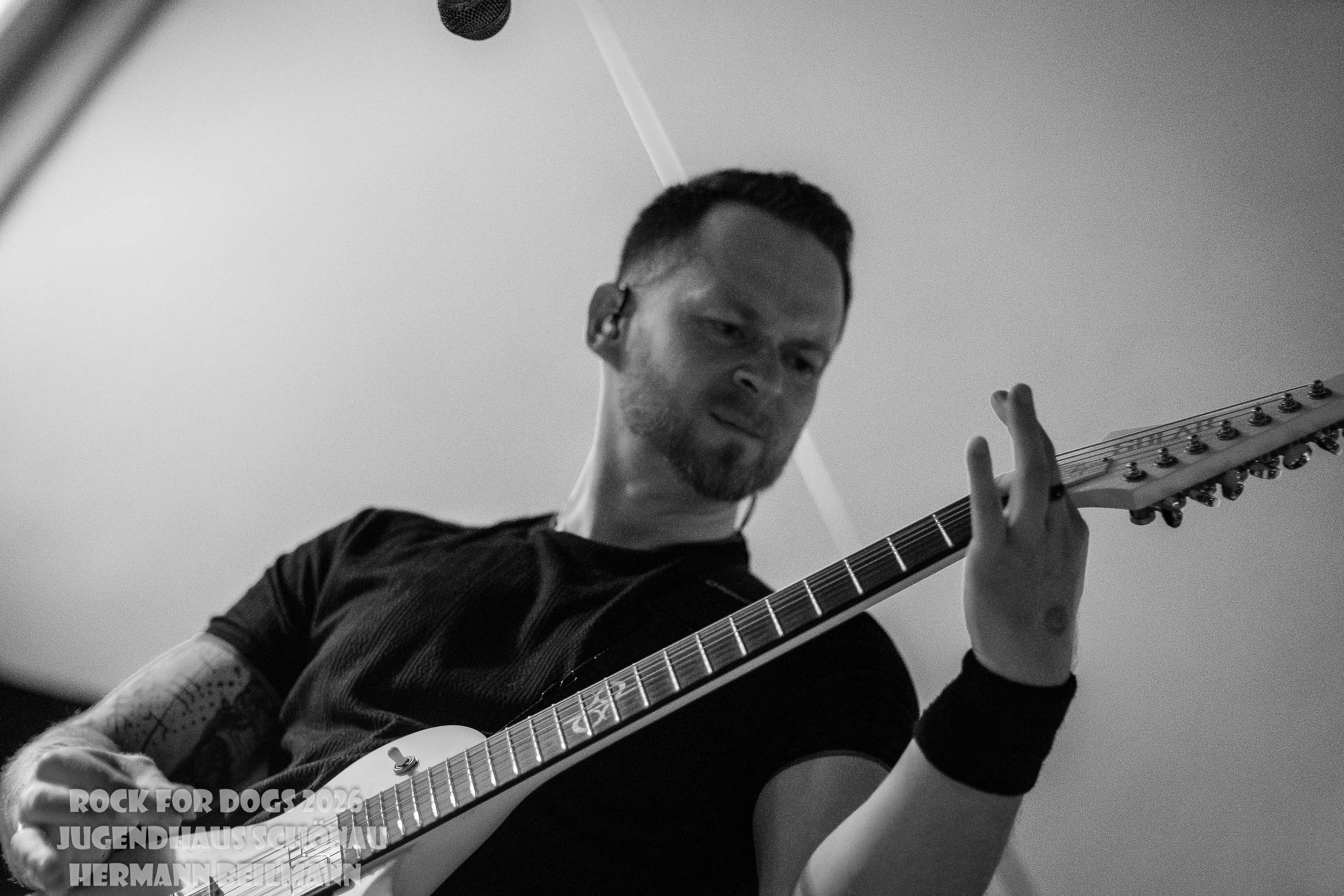 Rock for Dogs 2026-58